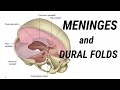 Dural Folds || Dura mater || Meninges || Anatomy || MedCracker ||