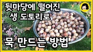 생 도토리 묵 만들기 - 믹서기만 있으면 만드는 도토리묵 가루 - How to eat acorns