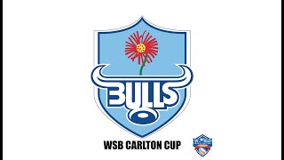 WORLD SPORTS BETTING CARLTON CUP - TUINE VS HARLEQUINS