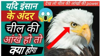 अगर चील की आंखे इंसानों में लगा दिया जाए तो क्या होगा | Eagle Eye Capacity | Fact | # Shorts