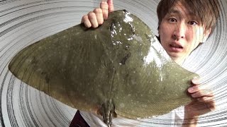 『レーダーに映らない魚』ツバクロエイの皮をはいで食う！【閲覧注意】