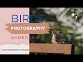 Birds Photography in Ahmedabad Kanjari | 4K Video Vlog | HB Photography Studio