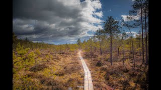 Puurijärven ja Isosuon kansallispuisto