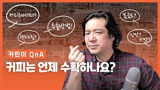 [커린이 Q\u0026A]커피는언제수확하나요?