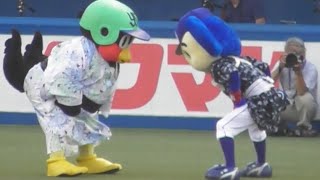 浴衣姿で土俵入り‼️つば九郎・ドアラのいつものダンスww