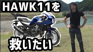 生産終了の意欲作。HAWK11を救いたい