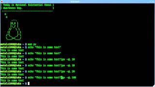 Echo Strings as if They are being Typed by Hand - Linux - Shell Script - BASH
