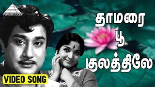 தாமரை பூ குலத்திலே Video Song | Muradan Muthu | Sivaji Ganesan | Devika | T. G. Lingappa