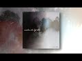 Venus Theory // Somewhere The Light Falls [Full Album Mix]