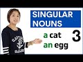 Learn Singular Nouns a / an + noun | Basic English Grammar Course