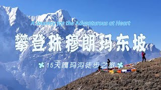 【15-Day Garma Valley Trekking Tour】15天嘎玛沟徒步之旅，攀登世界最高峰的东坡，挑战人体的极限  #西藏旅游 #卓玛 #travel