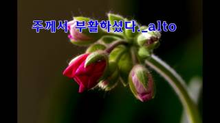 주께서 부활하셨다  alto