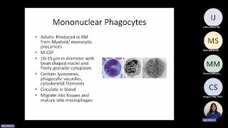 Abbas Chapter 2: Cells of the Immune System (Raje)