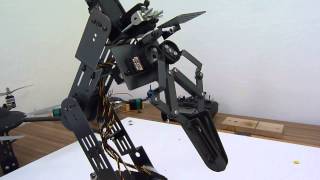 SG6-UT Robotic Arm