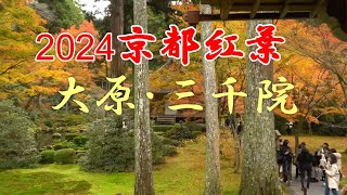 2024京都紅葉／大原・三千院 Autumn leaves at Sanzenin Temple in Ohara