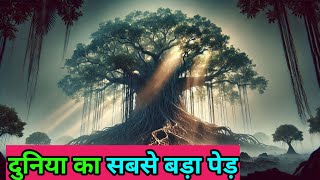 250 साल पुराना महान वटवृक्ष का रहस्य | The Great Banyan Tree Mystery #mystery #facts