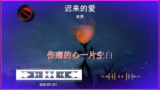 2024華語網絡流行音樂 ||《遲來的愛》|| 巖貴 || 動態歌詞