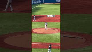 【ヤクルト】2日連続で野球観戦行ってきた【神宮球場】