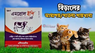 বিড়ালের আমাশয়/পাতলা পায়খানা হলে কোন ওষুধ খাওয়াবেন? জেনে নিন | Amprol  Ep | এমপ্রোল ইপি