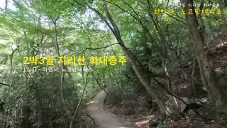 2박3일 지리산종주; 집에서 출발, 무궁화호, 화엄사 출발 노고단대피소 도착