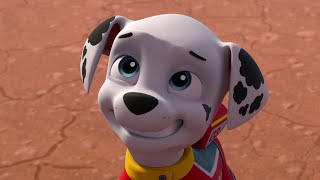 The Whoosh's Tip For Marshall - Paw Patrol Ready Race Rescue 2019