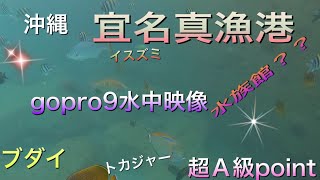 gopro9水中カメラ映像！沖縄県北部宜名真漁港　超Ａ級ポイント⑯