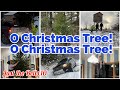 FAMiLY OF 10 Christmas Tree Hunting ( FULL VIDEO)