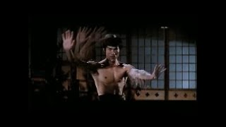 ブルース・リー Bruce Lee 李小龍 『ドラゴン怒りの鉄拳』、『ドラゴンへの道』 ダイジェスト
