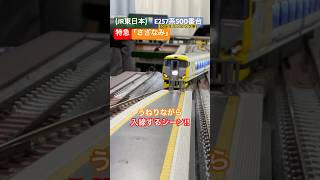 [うねり入線‼︎] E257系500番台(特急 わかしお•さざなみ50周年記念車) がうねりながら駅へ入線するシーンを再現‼︎ #nゲージ #jr東日本 #e257系 #e257系500番台 #特急