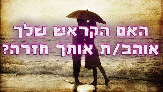 האם מי שאת/ה אוהב/ת(קראש) אוהב/ת אותך חזרה? בחנ/י את עצמך! - מבחן אישיות