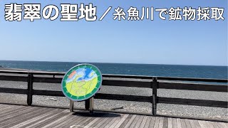 【翡翠】親不知海岸での石拾い。宝石にもなる黒翡翠やプレナイトなど魅力的な石を発見しました。台風並みの強風下でビーチコーミング。