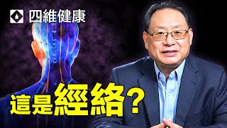 真正的 [ 經絡 ] 不是它！楊醫生講解被誤解的人體經絡。