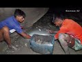 চাঁদ রাতে জেলেদের সাথে সুন্দরবনে মাছ ধরলাম । datne fish hunting in sundarban adventure bd