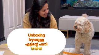 Ivyക്കുള്ള എട്ടിന്റെ പണി 😂🤣എത്ര ശ്രമിച്ചാലും ഞാൻ ഇതിൽ കേറില്ല 😡😡