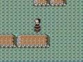 Guide Through Rock Tunnel Pokémon Red/Blue