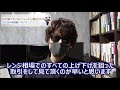 【fx株】利益を伸ばさなければいけない本当の理由！チキン利食いをするとなぜトレードで負けるのか？