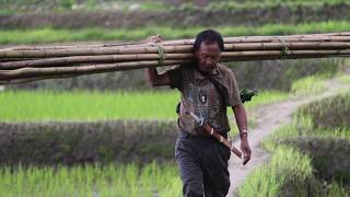 Dekho Apna Desh - Apatani Agriculture - Culture & Sacrificial Rituals