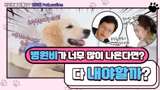 [펫로펌]동물병원에서 너무 과하게 진료비가 나왔을때 대처방법 20분안에 배운다.