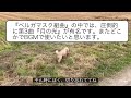 【オフ動画】完全な雑談（bgmはドビュッシーです）子どもに必要なものは○○一択な話