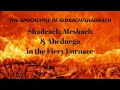 THE APOCALYPSE OF SEDRACH/SHADRACH - ONE OF THE THREE IN FIERY FURNACE