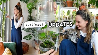 Post-Move Plant (+ house) Updates and PLANS! 🌿