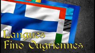 L'héritage des langues finno-ougriennes : histoire, culture et identité