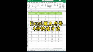 Excel 零基础教学 4种填充序号方法#office办公技巧 #0基础学电脑 #办公技能 #excel技巧 #办公软件