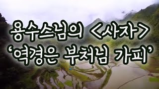 [용수수님의 글]역경은 부처님의 가피입니다