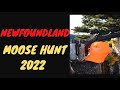 ANNUAL NEWFOUNDLAND MOOSE HUNT 2022 #newfoundland #moosehunting #outdoors #campinglife