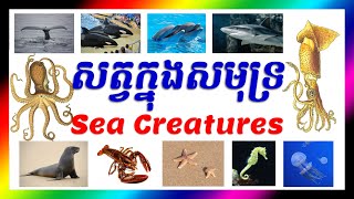 សត្វក្នុងសមុទ្រ Sea Creatures, Sea Animals - ពាក្យអង់គ្លេសបកប្រែខ្មែរ English Khmer Words