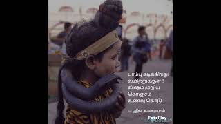 Vizham விஷம் Kaanaamal ponavanin kavithaigal காணாமல் போனவனின் கவிதைகள் #kavidhaikal #tamil #life