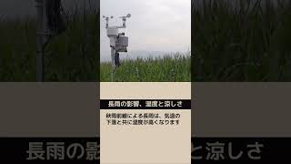 秋雨前線とは？ 秋の気象現象