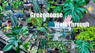 Let’s Go To A GREENHOUSE! | 2025 PLANT Tour🌿🌱✨