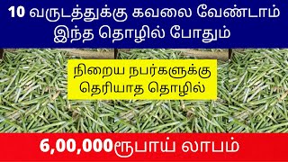 10 வருடத்துக்கு கவலை வேண்டாம் இந்த தொழில் போதும் |6,00,000ரூபாய் லாபம்  Small Business Ideas | Tamil